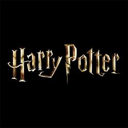 Harry Potter™
