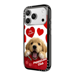 Compact Case