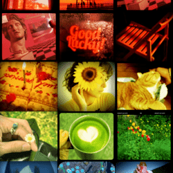 Photo Grid Custom