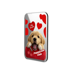 Snappy™ Cardholder Stand