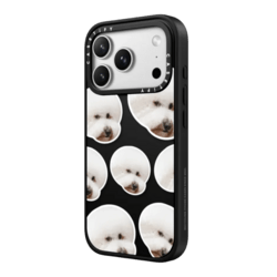 Impact Case