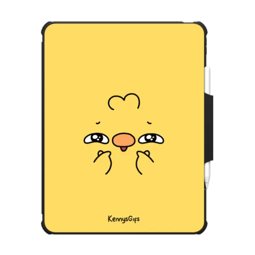 iPad Pro 13-inch (M4/M5) - Birb Face