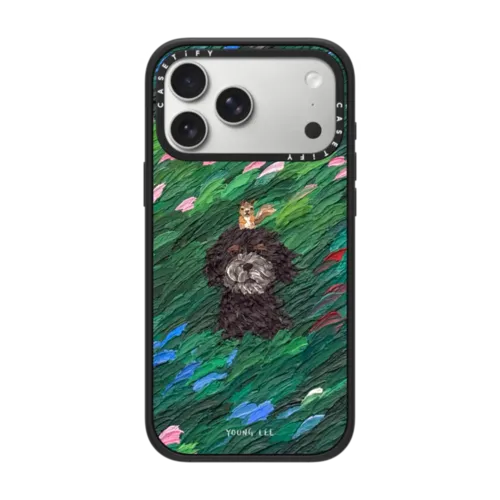 iPhone 17 Pro Max - Flow no.17