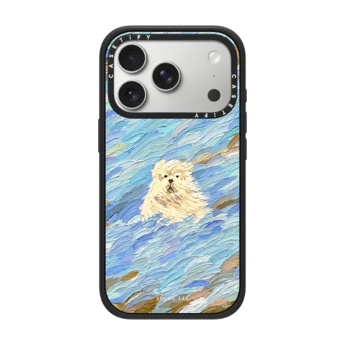 iPhone 17 Pro - Flow no.12