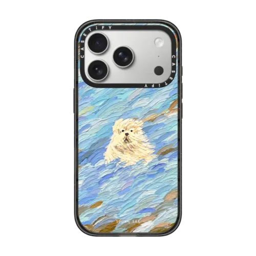 iPhone 17 Pro - Flow no.12