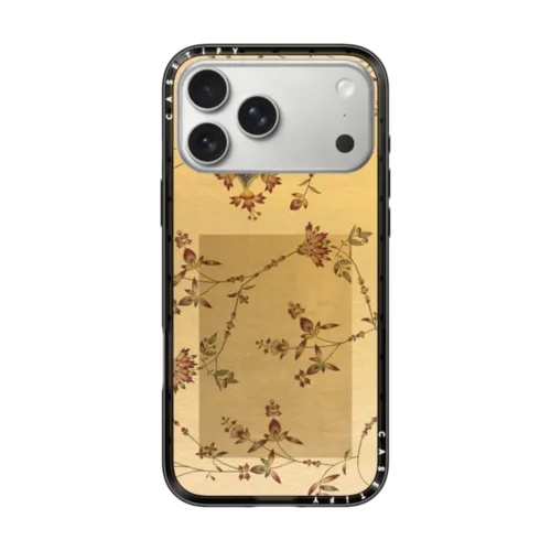 iPhone 17 Pro Max - Customization Artwork