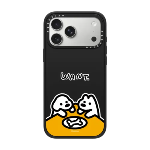 iPhone 17 Pro Max - WANT.