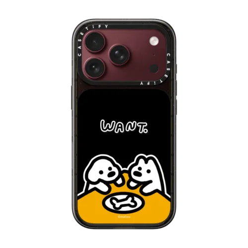 iPhone 18 Pro - WANT.