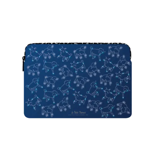 Large (16