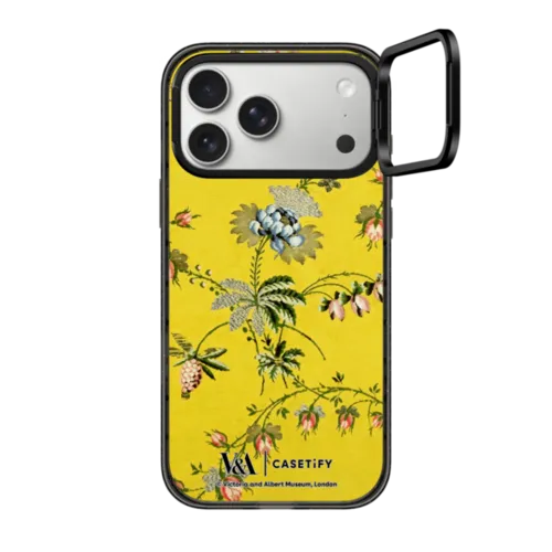 iPhone 17 Pro Max - V&A Rococo Edit, Spitalfields Case