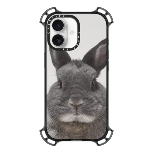 iPhone 17 - CASETiFY Photo Custom Case