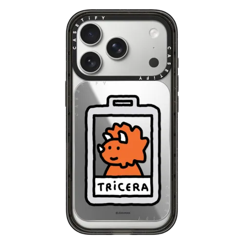 Snappy Cardholder Stand - Tricera
